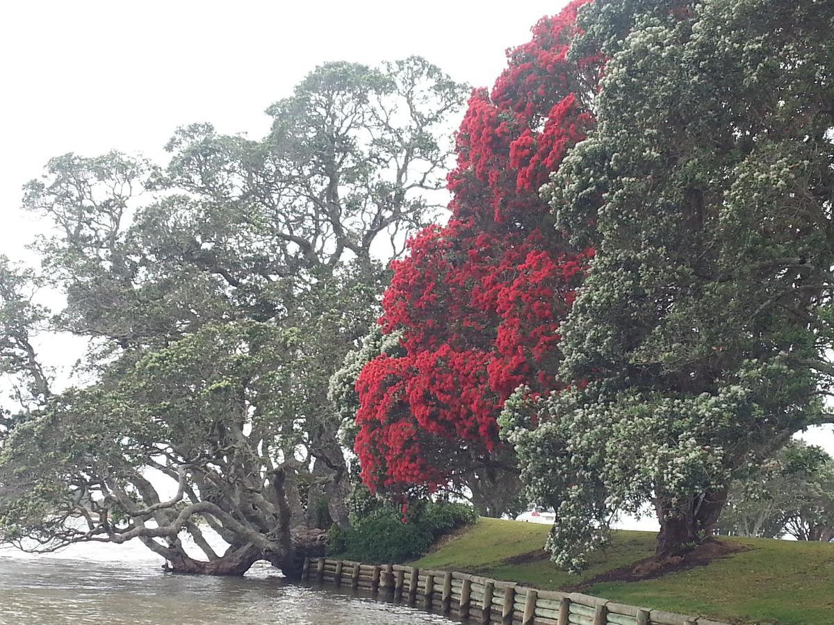 Athenree Hot Springs & Holiday Park Waihi Exteriör bild